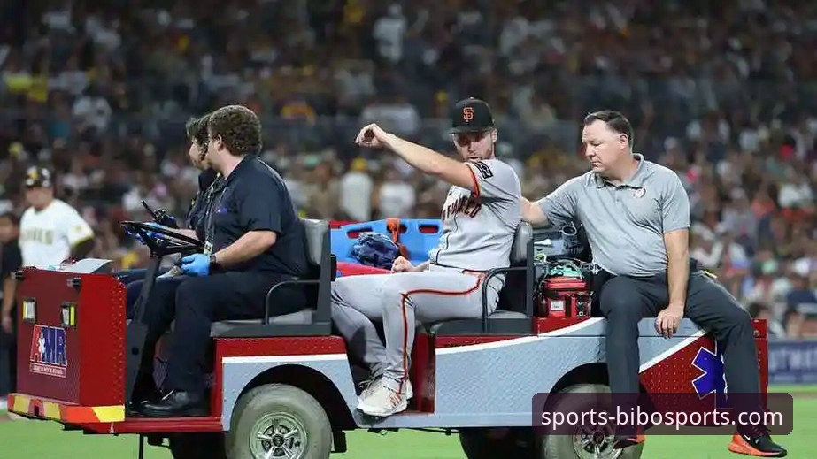 资深用户体验分享：在必博体育平台重温阿根廷5-0大胜的战术细节与数据洞察